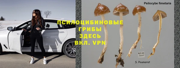 a pvp Вязьма