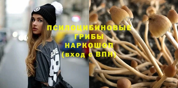 a pvp Вязьма