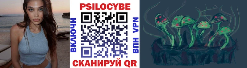 Купить  Тарко-Сале  Псилоцибиновые грибы прущие грибы 