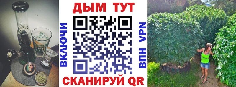 Купить где  Тарко-Сале  Бошки Шишки OG Kush 